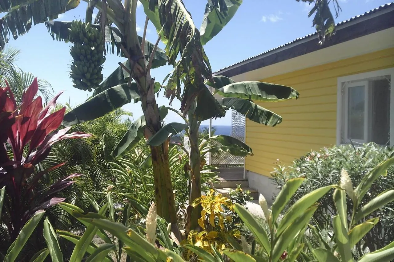 Kazavannah Beautiful Brand New Bungalow Vieux Habitants Guadeloupe Villa Vieux-Habitants
