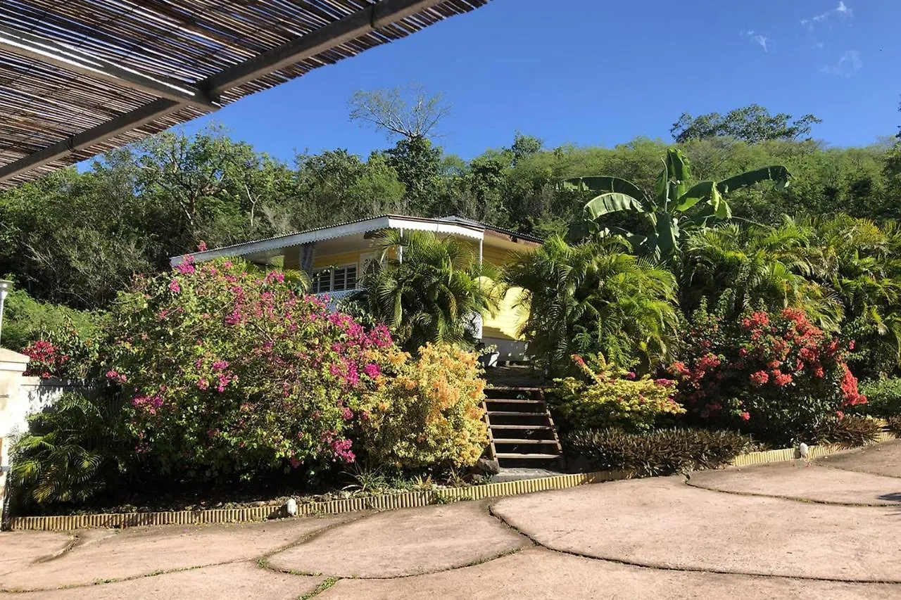 Kazavannah Beautiful Brand New Bungalow Vieux Habitants Guadeloupe location